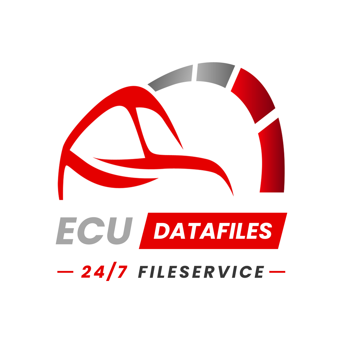 ECUDataFiles – 24/7 Fileservice